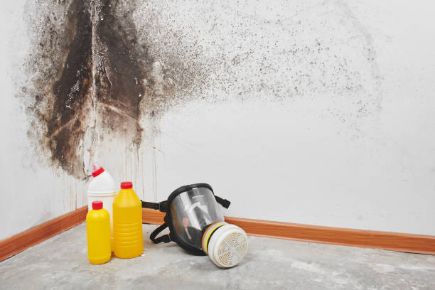 Water Damage Restoration in Frankfort Square, IL
