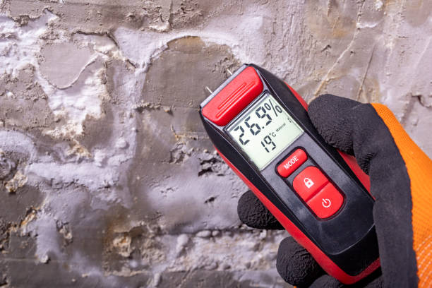 Best Local Mold Removal Service  in Frankfort Square, IL