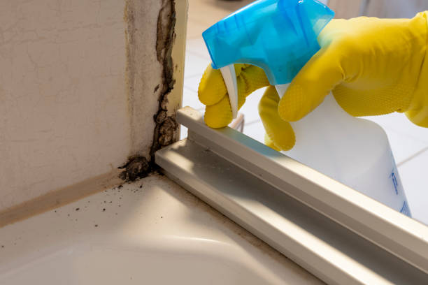 Best Residential Mold Removal  in Frankfort Square, IL
